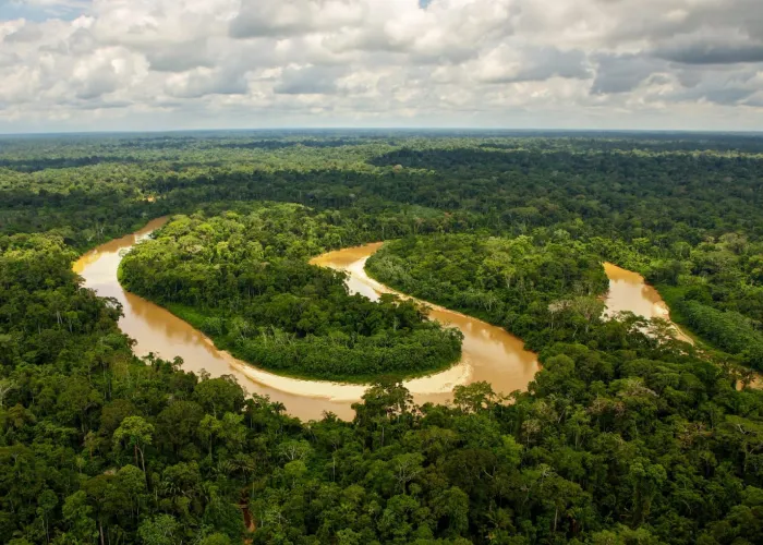 The Amazon River, the world's largest river, flows through lush rainforests and is a lifeline for countless species.
